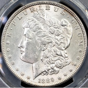 USA, Morgan Dollar 1889, Philadelphia