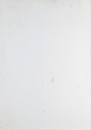 Jacek Sienicki, Z CYKLU „GŁOWY W OKNACH“, 1989