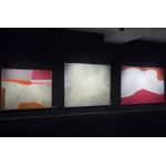 Władysław Jackiewicz, SITUATIONS XII, 1981