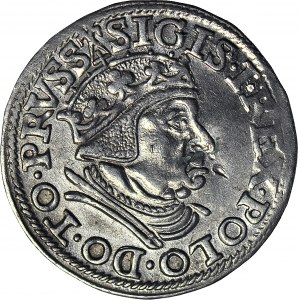 Zygmunt I Stary, Trojak 1538, Gdańsk, piękny