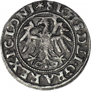 R-. Zygmunt I Stary, Szeląg 1546 Gdańsk POLONI R3