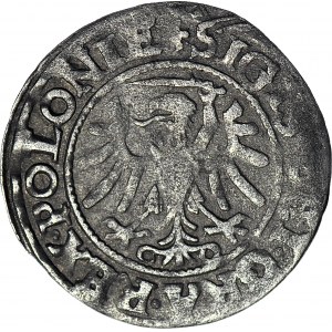 RRR-. Zygmunt I Stary, Szeląg 1546 Gdańsk POLONIE R6