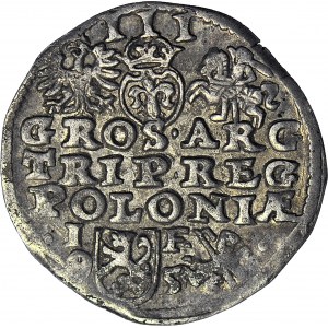 Zygmunt III Waza, Trojak 1595 Lublin, data po bokach herbu Lewart