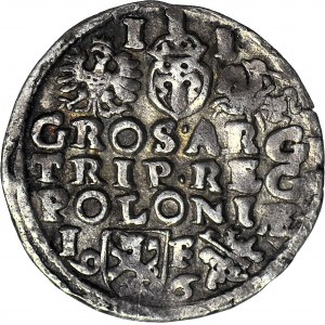 Zygmunt III Waza, Trojak Lublin 1596, data przy Lewarcie