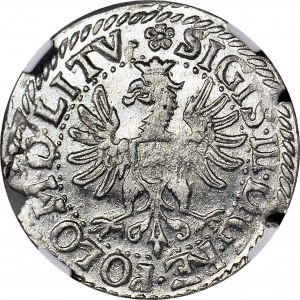 RRR-, Zygmunt III Waza, Grosz 1613 Wilno, LITVA/LITV