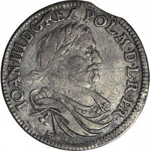 R-, Jan III Sobieski, Ort 1677, Bydgoszcz, M-H przykryte gałązkami