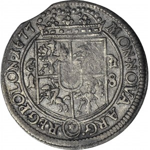 R-, Jan III Sobieski, Ort 1677, Bydgoszcz, M-H przykryte gałązkami
