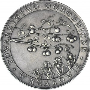 R-, Towarzystwo Ogrodnicze w Kraków, Medal 1905, srebro, oryginalne bicie