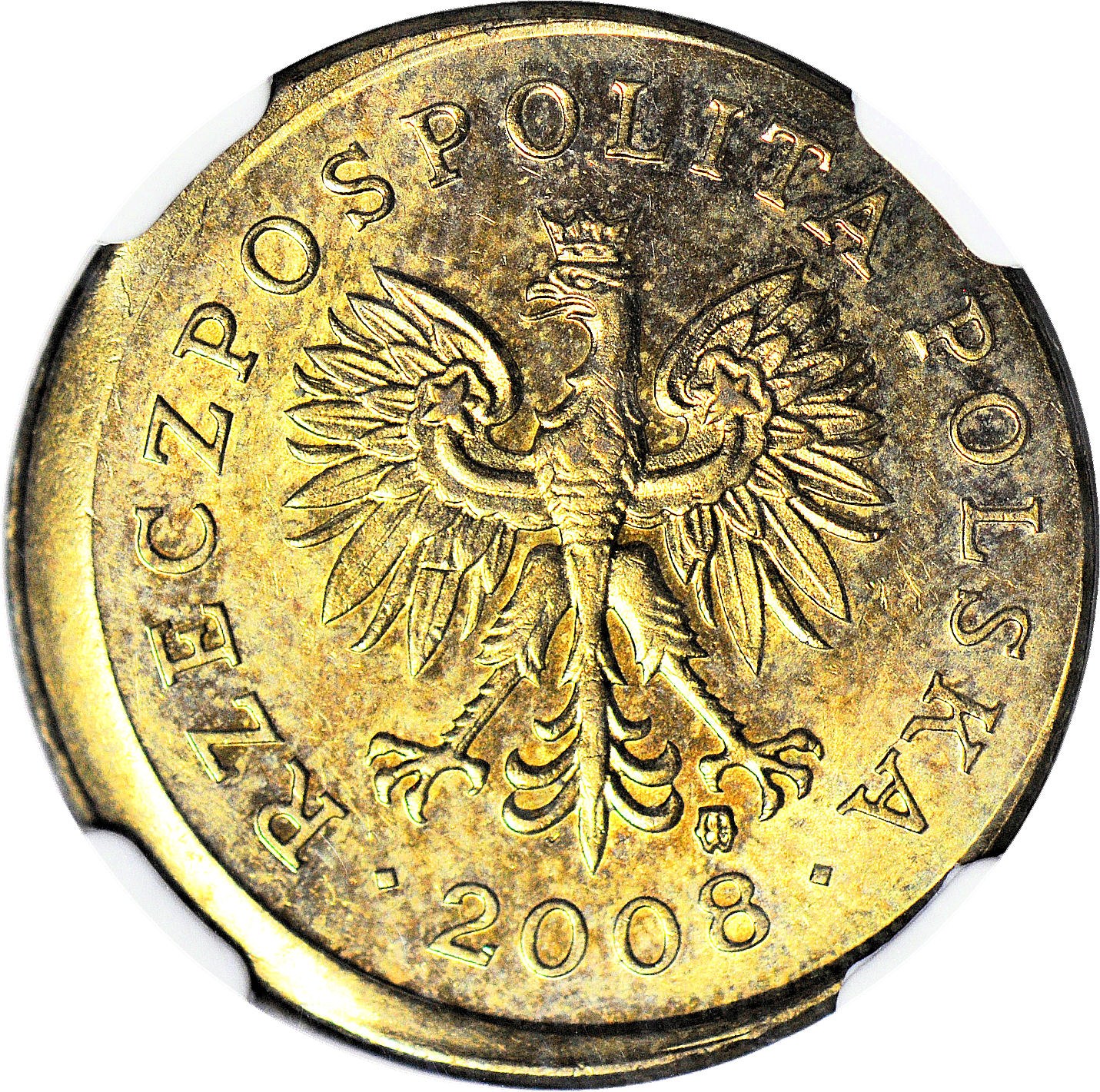 Wuz☆☆プレリードッグ純金２５㍉＋サウスダコタ純金ノート１５５mg☆☆ RR-, 5 groszy 2008, niecentryczne bicie, DESTRUKT - Aukcja