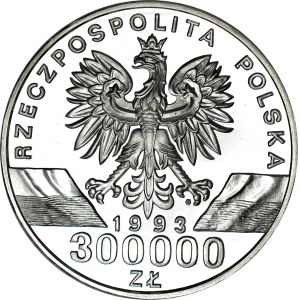 300.000 złotych 1993, Jaskółki, Ag, lustrzane