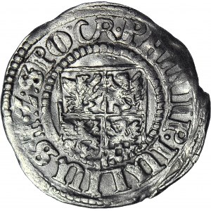 R-, Pomorze, Księstwo Wołogoskie, Filip Juliusz, Grosz 1609, Nowopole