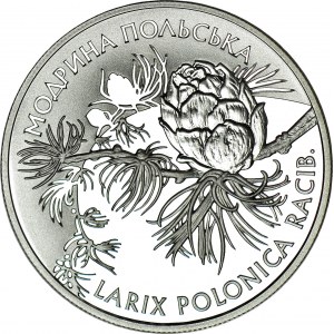 Ukraina, 10 hrywien 2001, Modrzew Polski, rzadki