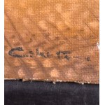 UNIDENTIFIED SIGNATURE, Naples from Mergellina