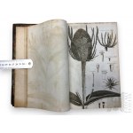 1812, Royaume-Uni, Londres - Robert Thornton John, 'Elements Of Botany, Part I : Classification', édition de l'auteur.