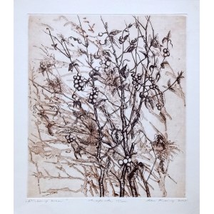 Adam Kwaśny, Wuthering Bush