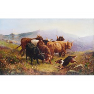 Künstler 19. Jahrhundert, Hochlandrinder