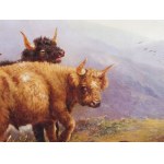 Artysta XIX wiek, bydło rasy Highland