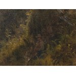 Franz Alt, Viedeň 1821 - 1914 Viedeň