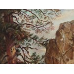 Unknown painter, Copy after Friedrich Gauermann