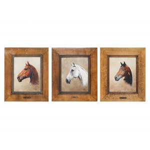 Artist 20th century, Three horse portraits