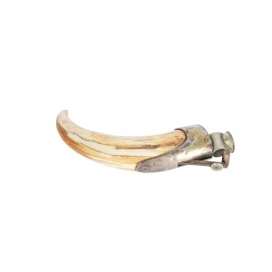 Cigar cutter, Boar's tooth handle with silver mounting