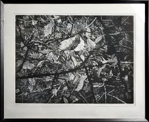 Andrzej BIELAWSKI (ur. 1949), Kolce, 1982