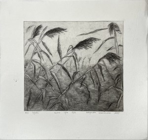 Małgorzata KALINOWSKA (ur. 1972), Bez tytułu, 1995 (8/15)