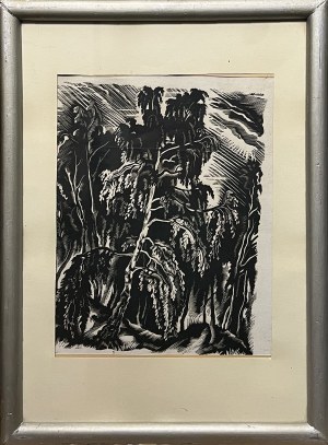 Bogna KRASNODĘBSKA-GARDOWSKA(1900-1986), Brzoza