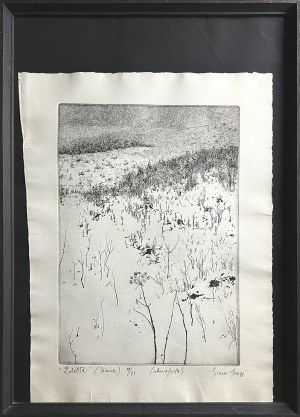 Tadeusz Michał SIARA (ur. 1941), Źdźbła (Zima), 1978