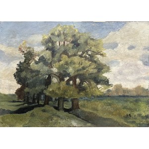Painter unspecified, Polish, monogrammed B.M. 20th century, Landscape with trees