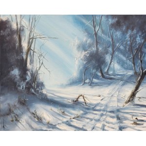 Joanna Burczyc, Landscape