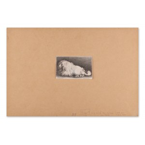 VÁCLAV HOLLAR (CZECH / BOHEMIAN 1607 - 1677) - The Bolognese Dog (by Adriaen Matham)
