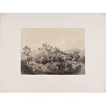 FERDINAND BŘETISLAV MIKOWEC (CZECH / BOHEMIAN) - Haun - Herald - Kaliwoda Album von Böhmen I., II., III.