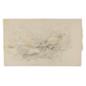 BEDŘICH HAVRÁNEK (CZECHY / BOHEMIAN 1821 - 1899) - Studium krajobrazu