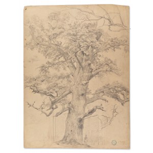 BEDŘICH HAVRÁNEK (CZECH / BOHEMIAN 1821 - 1899) - Oak from Choltice - study for the painting Forest in Choltice