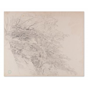 BEDŘICH HAVRÁNEK (CZECH / BOHEMIAN 1821 - 1899) - A study of trees in the landscape