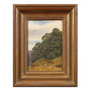 BEDŘICH HAVRÁNEK (CZECH / BOHEMIAN 1821 - 1899) - Landscape with trees