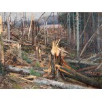 VÁCLAV BŘEZINA (CZECH / BOHEMIAN 1862 - 1906) - The tragedy of the forest on Branca about the windstorm