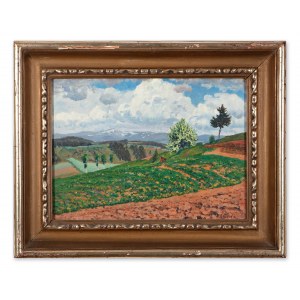 BOHUSLAV DVOŘÁK (CZECH / BOHEMIAN 1867 - 1951) - Jarní krajina v Krkonoších