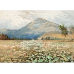 ANTON RAIMUND WOLF (CZECH / BOHEMIAN 1865 - 1924) - Blooming foothill landscape