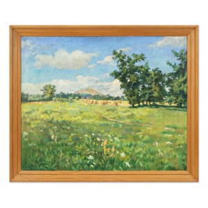 VENO VESELÝ (CZECHY / BOHEMIAN 1879 - 1953) - góra Kunetica