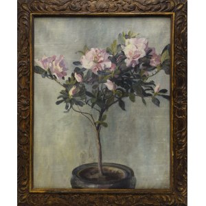 Artist unspecified, 20th century, Azalea