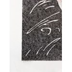 Stefan Sławiński (1948-2011), Extaza, 2005
