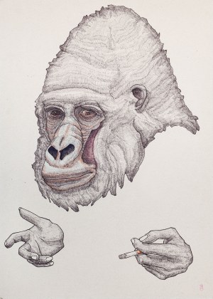 Jonasz Koperkiewicz, Caught, 2013