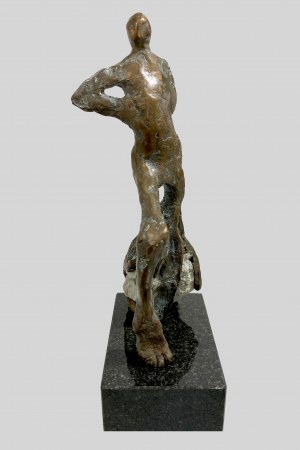 Anna Sołtysik, Człowiek - drzewo