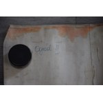 Projekt gobelinu, Maria DOMAŃSKA, Ogród II, akwarela, duży!