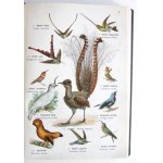 LAMPERT Kurt - Atlante dello stato animale. 819 incisioni multicolori su 96 tavole, 316 pagine di testo con 162 xilografie. Legatura...