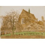 Teka graficzna 12 litografii barwnych wydana z okazji Zjazdu Lekarzy i Przyrodników w Krakowie w roku 1911