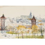 Teka graficzna 12 litografii barwnych wydana z okazji Zjazdu Lekarzy i Przyrodników w Krakowie w roku 1911