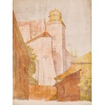 Teka graficzna 12 litografii barwnych wydana z okazji Zjazdu Lekarzy i Przyrodników w Krakowie w roku 1911